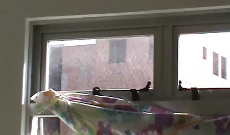 Gabby Quinteros bokep online muncrat