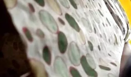 Terangsang gadis perancis web bokef yang bermain dengan saya di chat Bagian 1