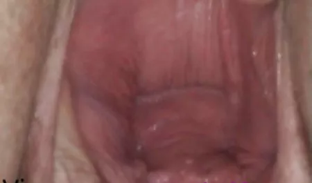 DALAM SETELAN JAS video bokep viral online