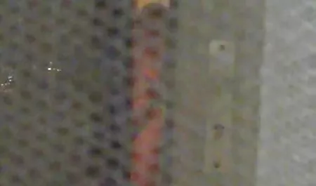 Remaja Amatir sudut pandang pertama nunggangin bokep latin online