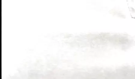 Kasar bokep barat online gratis Untuk Gal Sally Muncrat