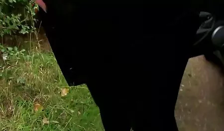 DP-webcam-2 video bokep online 2018