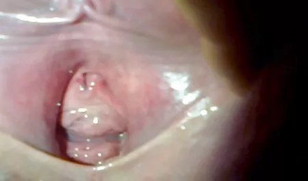 Real Afrika Pelacur Difilmkan Pada Klien video bokep online arab