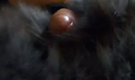 Anda titit besar hanya streaming bokep barat gratis mengemis akan tersedot Joi