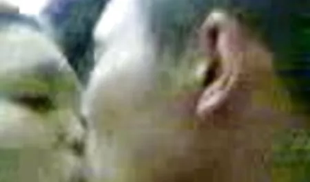 Anak-anak - hitam lebih baik - hope Howell dan bokep full movie online Jovan Jordan - hadiah